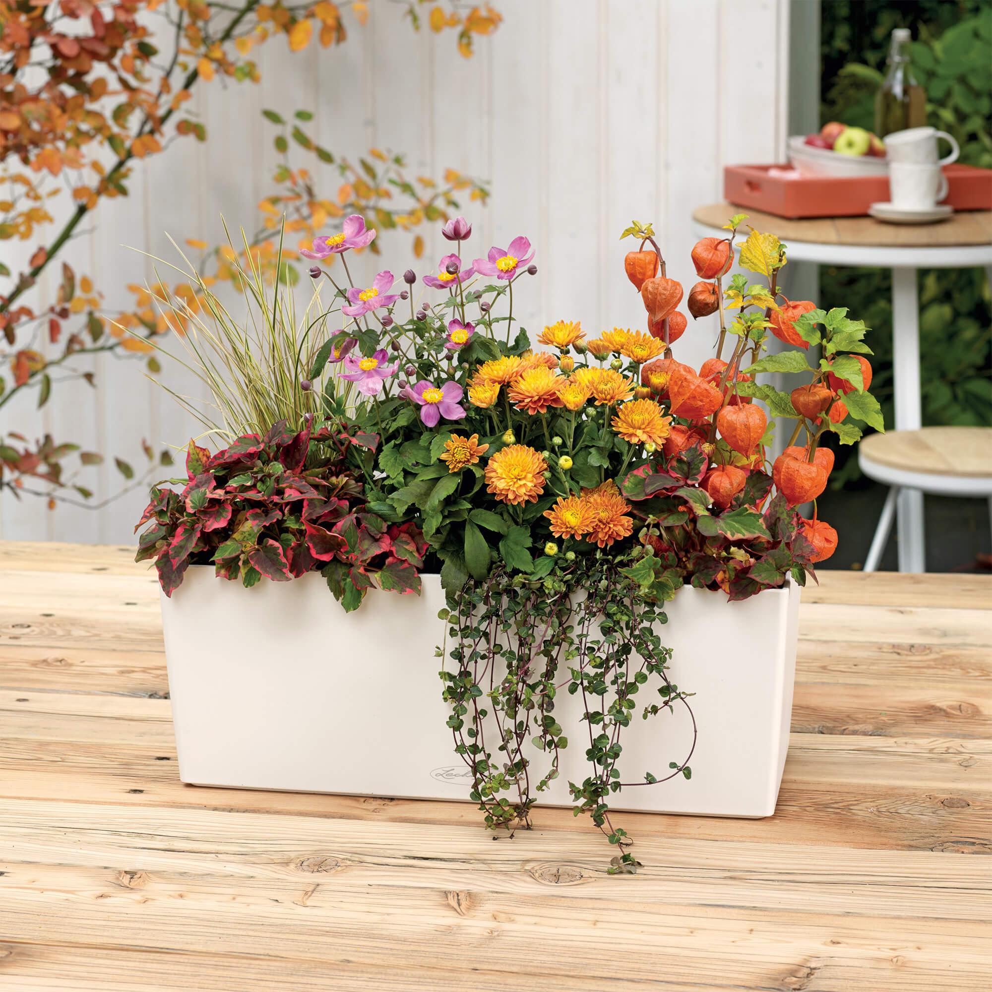le_balconera-color50_product_addi_03